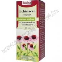 Jutavit echinacea cseppek 50ml